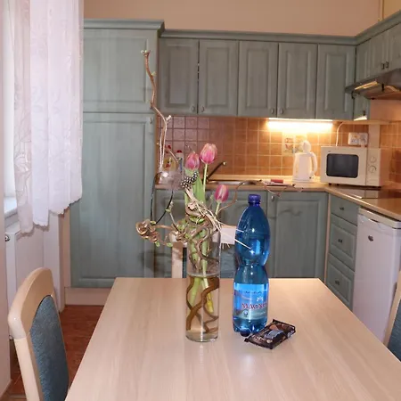 Homely Apartments Villa Christiana