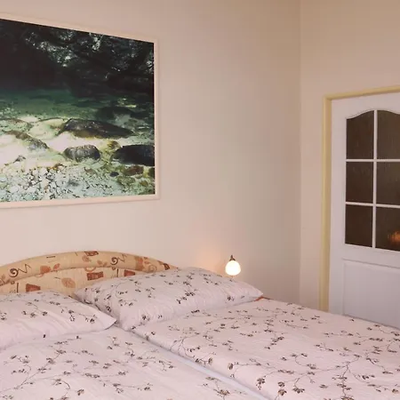 Apartment Homely Apartments Villa Christiana *