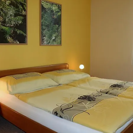 Apartment Homely Apartments Villa Christiana