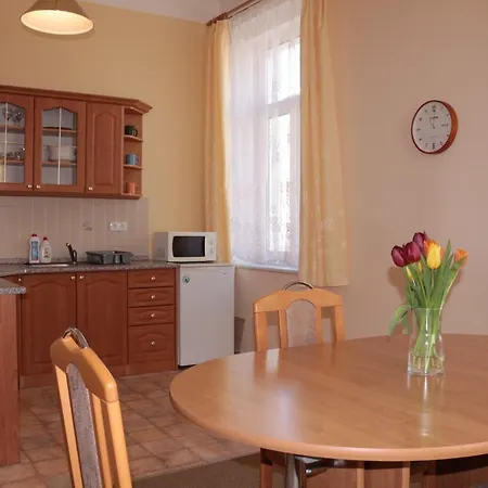 Homely Apartments Villa Christiana * Marianske Lazne